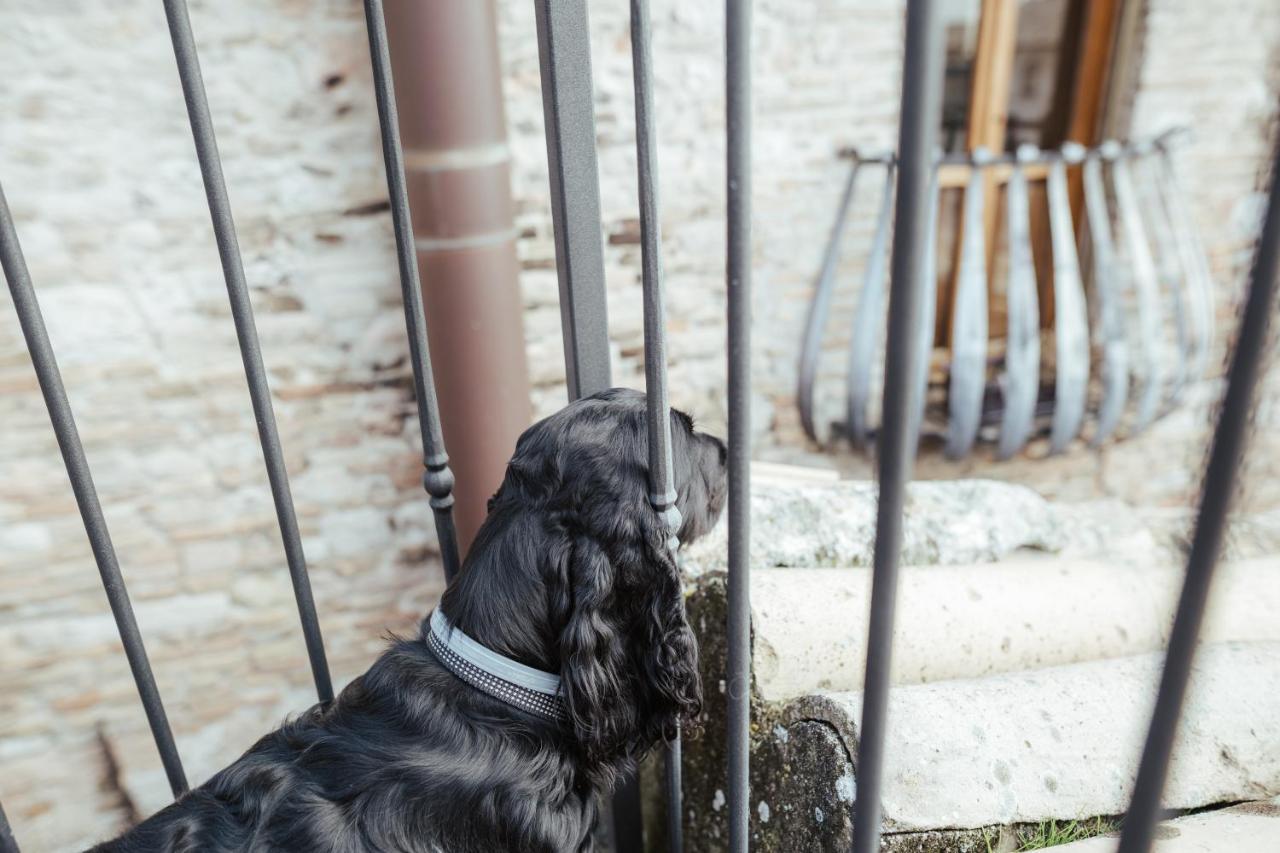 Chiama Ride The Beauty Assisi Apartamento Exterior foto